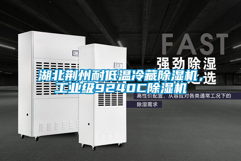 湖北荊州耐低溫冷藏除濕機(jī)，工業(yè)級(jí)9240C除濕機(jī)