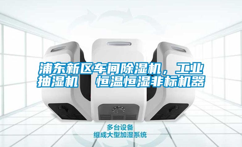 浦東新區(qū)車(chē)間除濕機(jī)，工業(yè)抽濕機(jī)  恒溫恒濕非標(biāo)機(jī)器