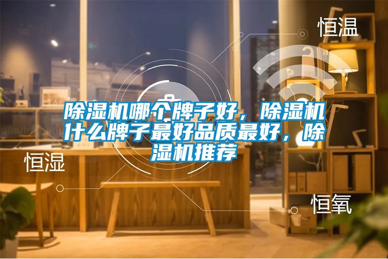 除濕機(jī)哪個(gè)牌子好，除濕機(jī)什么牌子最好品質(zhì)最好，除濕機(jī)推薦