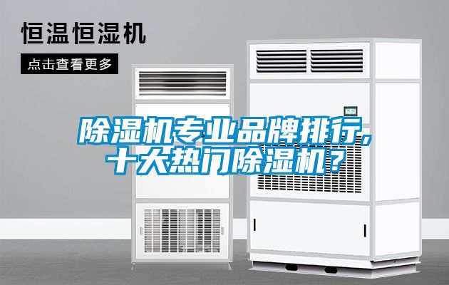 除濕機(jī)專業(yè)品牌排行,十大熱門除濕機(jī)？