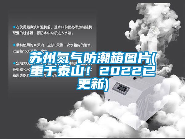 蘇州氮氣防潮箱圖片(重于泰山！2022已更新)