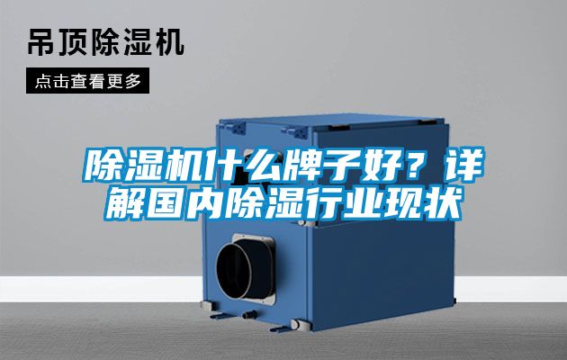 除濕機(jī)什么牌子好？詳解國(guó)內(nèi)除濕行業(yè)現(xiàn)狀