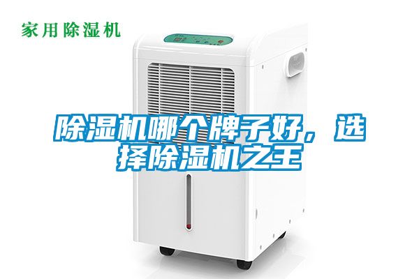 除濕機(jī)哪個(gè)牌子好，選擇除濕機(jī)之王
