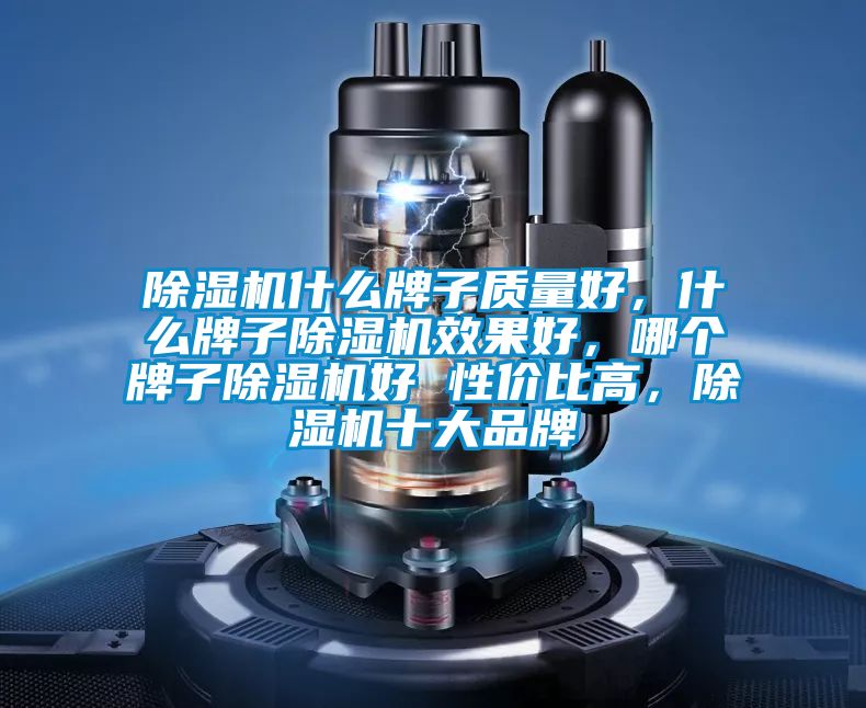 除濕機(jī)什么牌子質(zhì)量好，什么牌子除濕機(jī)效果好，哪個牌子除濕機(jī)好 性價(jià)比高，除濕機(jī)十大品牌