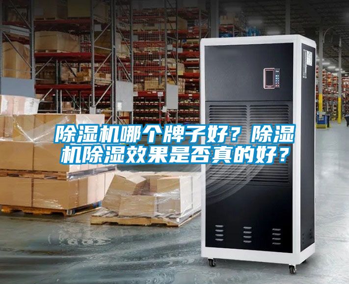 除濕機哪個牌子好？除濕機除濕效果是否真的好？