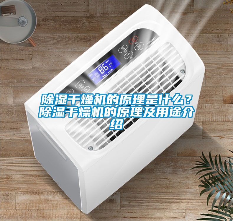 除濕干燥機的原理是什么？除濕干燥機的原理及用途介紹
