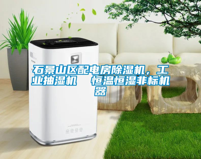 石景山區(qū)配電房除濕機，工業(yè)抽濕機  恒溫恒濕非標機器