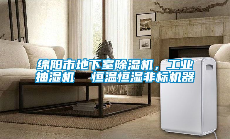 綿陽市地下室除濕機，工業(yè)抽濕機  恒溫恒濕非標機器