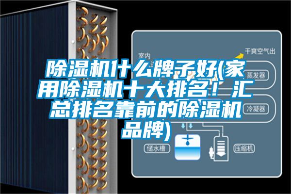 除濕機(jī)什么牌子好(家用除濕機(jī)十大排名！匯總排名靠前的除濕機(jī)品牌)