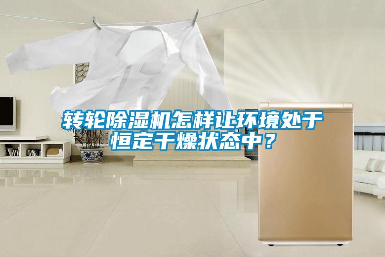 轉(zhuǎn)輪除濕機(jī)怎樣讓環(huán)境處于恒定干燥狀態(tài)中？