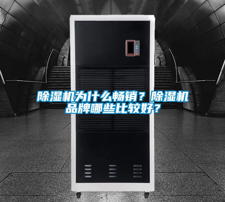 除濕機為什么暢銷？除濕機品牌哪些比較好？