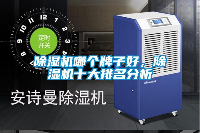 除濕機(jī)哪個牌子好，除濕機(jī)十大排名分析