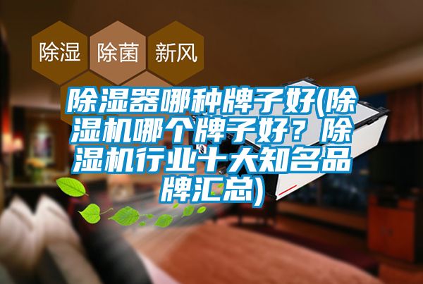 除濕器哪種牌子好(除濕機(jī)哪個牌子好？除濕機(jī)行業(yè)十大知名品牌匯總)