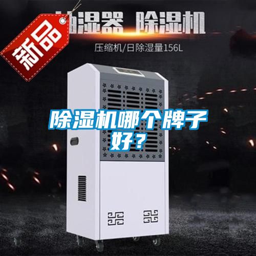 除濕機(jī)哪個牌子好？