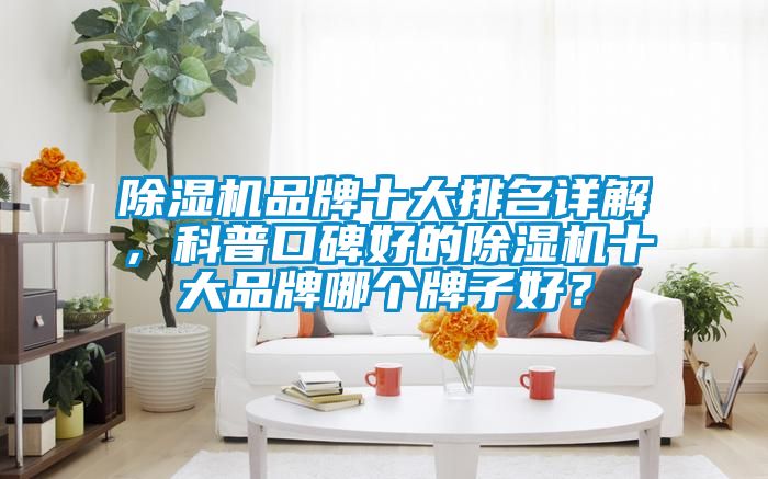 除濕機(jī)品牌十大排名詳解，科普口碑好的除濕機(jī)十大品牌哪個(gè)牌子好？