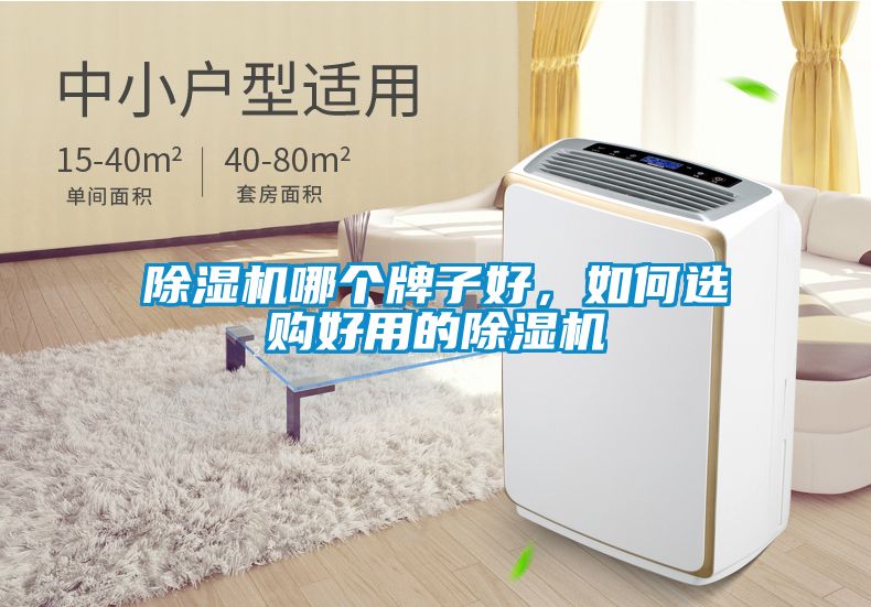 除濕機(jī)哪個(gè)牌子好，如何選購(gòu)好用的除濕機(jī)