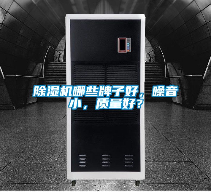 除濕機(jī)哪些牌子好，噪音小，質(zhì)量好？