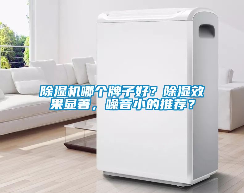 除濕機哪個牌子好？除濕效果顯著，噪音小的推薦？