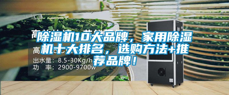 除濕機10大品牌，家用除濕機十大排名，選購方法+推薦品牌！