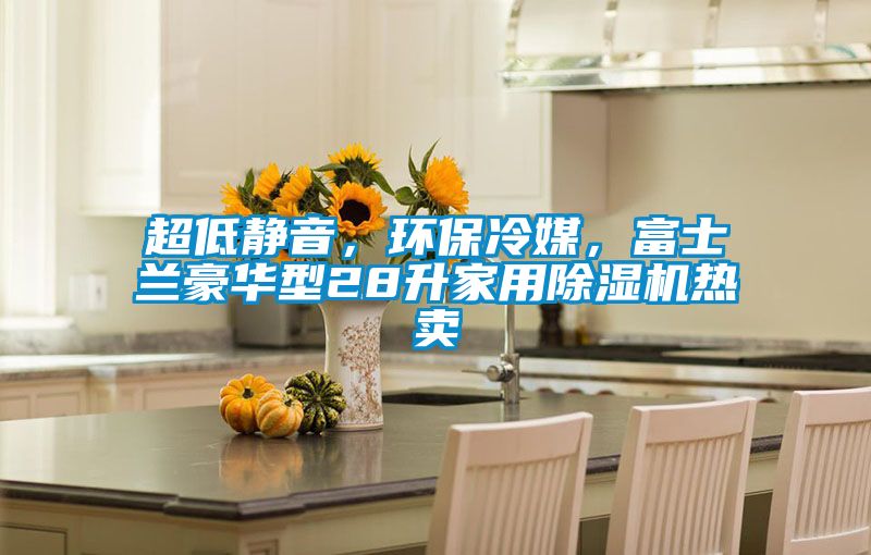 超低靜音，環(huán)保冷媒，富士蘭豪華型28升家用除濕機(jī)熱賣