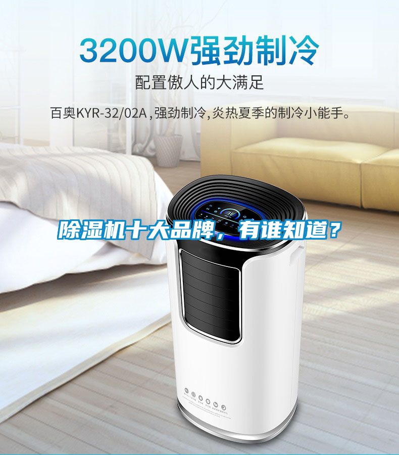 除濕機(jī)十大品牌，有誰(shuí)知道？