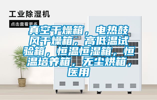 真空干燥箱，電熱鼓風(fēng)干燥箱，高低溫試驗(yàn)箱，恒溫恒濕箱，恒溫培養(yǎng)箱，無(wú)塵烘箱，醫(yī)用