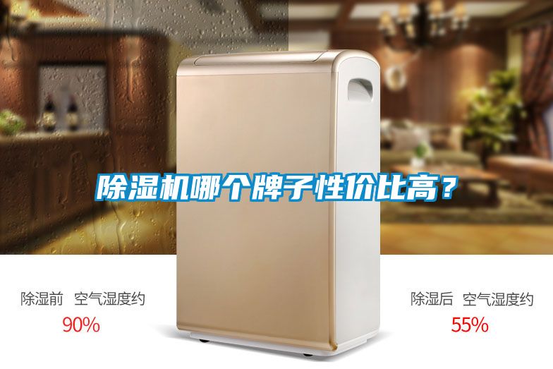 除濕機哪個牌子性價比高？