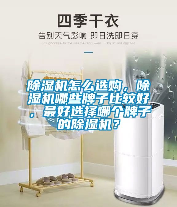 除濕機(jī)怎么選購，除濕機(jī)哪些牌子比較好，最好選擇哪個(gè)牌子的除濕機(jī)？