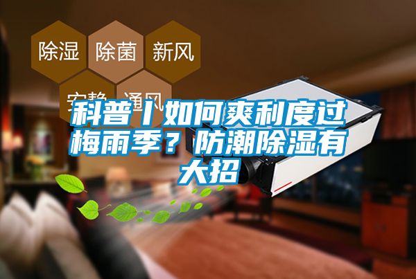 科普丨如何爽利度過梅雨季？防潮除濕有大招