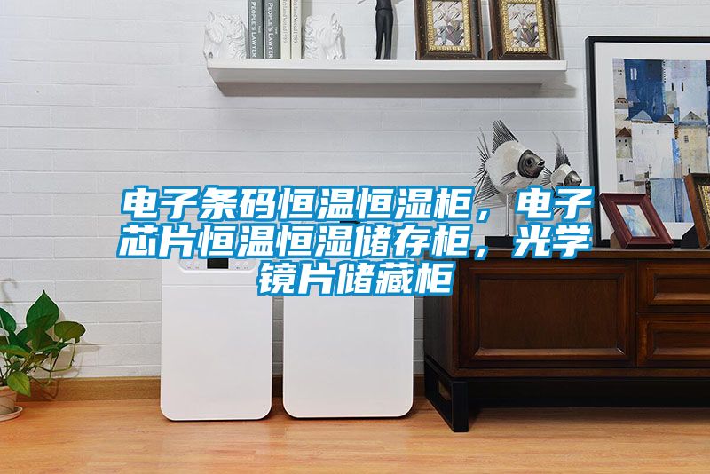 電子條碼恒溫恒濕柜，電子芯片恒溫恒濕儲(chǔ)存柜，光學(xué)鏡片儲(chǔ)藏柜