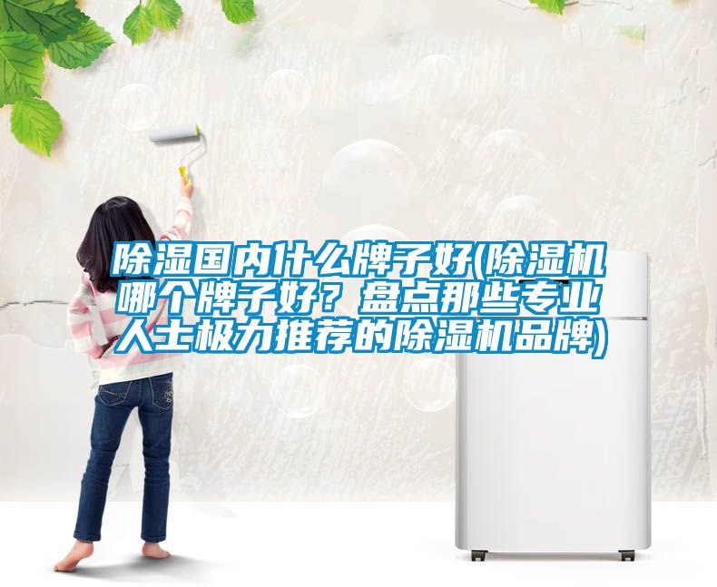 除濕國內(nèi)什么牌子好(除濕機哪個牌子好？盤點那些專業(yè)人士極力推薦的除濕機品牌)