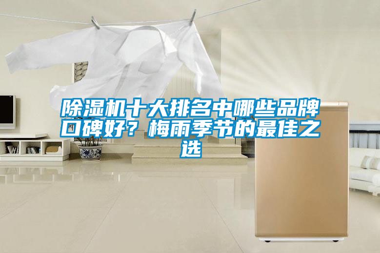 除濕機十大排名中哪些品牌口碑好？梅雨季節(jié)的最佳之選