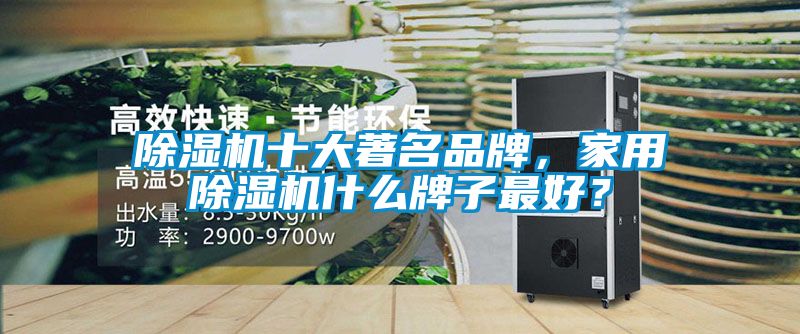 除濕機(jī)十大著名品牌，家用除濕機(jī)什么牌子最好？