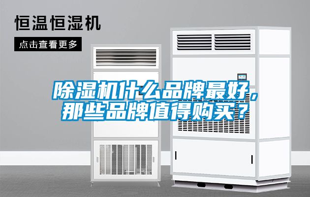 除濕機什么品牌最好，那些品牌值得購買？