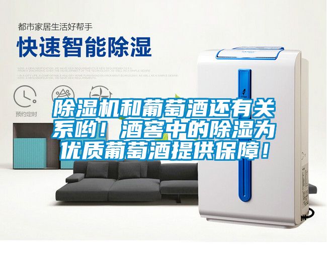 除濕機(jī)和葡萄酒還有關(guān)系喲！酒窖中的除濕為優(yōu)質(zhì)葡萄酒提供保障！