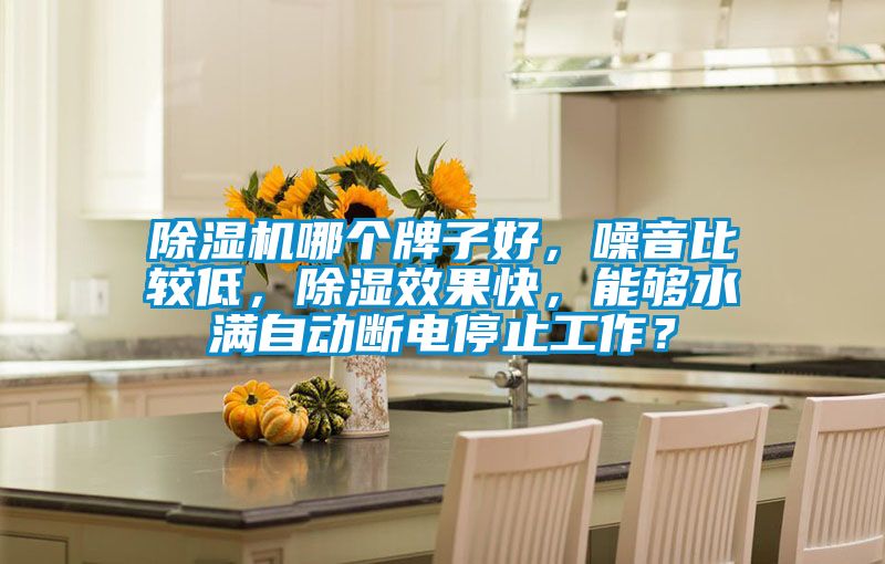除濕機(jī)哪個(gè)牌子好，噪音比較低，除濕效果快，能夠水滿(mǎn)自動(dòng)斷電停止工作？
