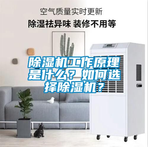 除濕機(jī)工作原理是什么？如何選擇除濕機(jī)？
