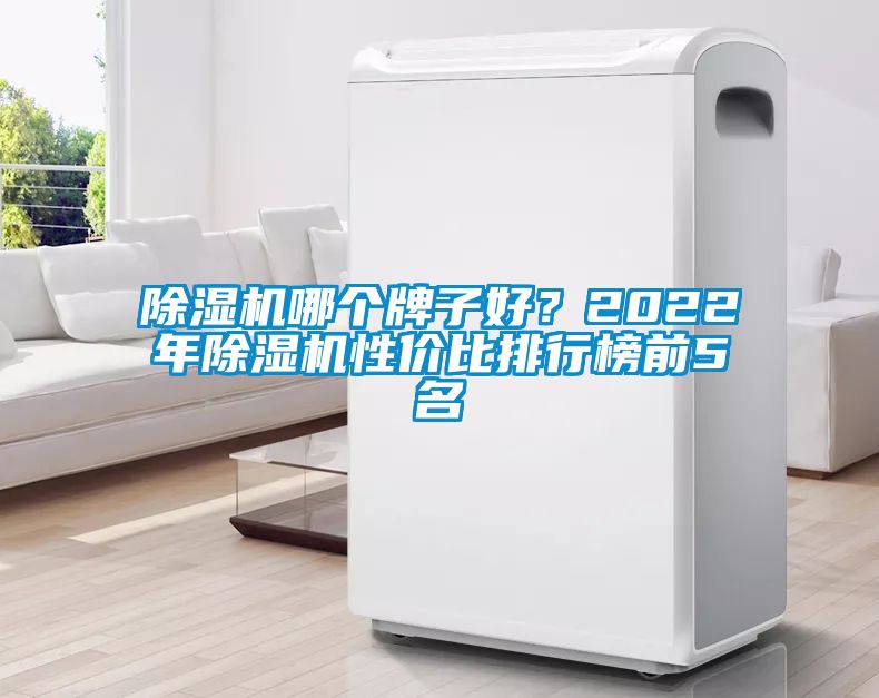 除濕機(jī)哪個(gè)牌子好？2022年除濕機(jī)性價(jià)比排行榜前5名