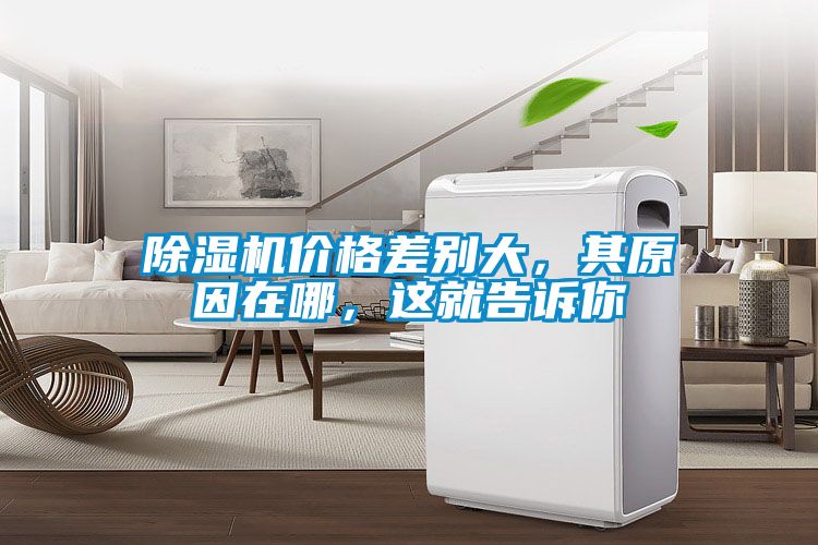 除濕機(jī)價(jià)格差別大，其原因在哪，這就告訴你