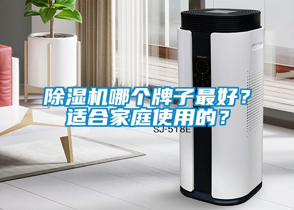 除濕機哪個牌子最好？適合家庭使用的？