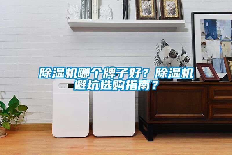 除濕機哪個牌子好？除濕機避坑選購指南？