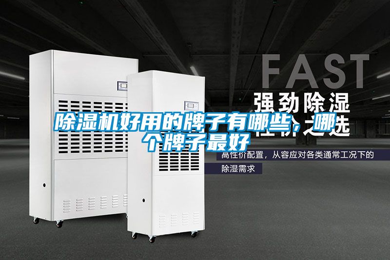除濕機好用的牌子有哪些，哪個牌子最好
