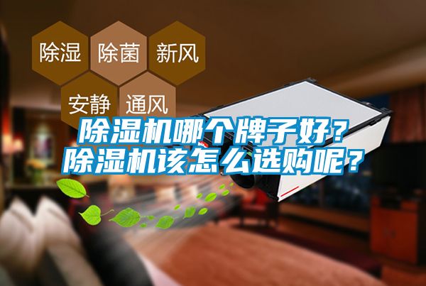 除濕機(jī)哪個(gè)牌子好？除濕機(jī)該怎么選購呢？
