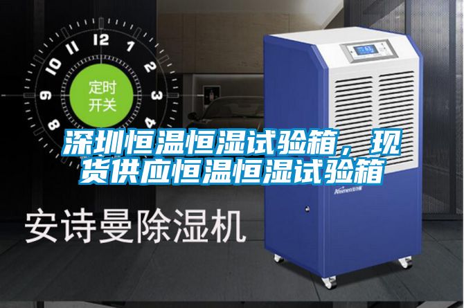 深圳恒溫恒濕試驗(yàn)箱，現(xiàn)貨供應(yīng)恒溫恒濕試驗(yàn)箱