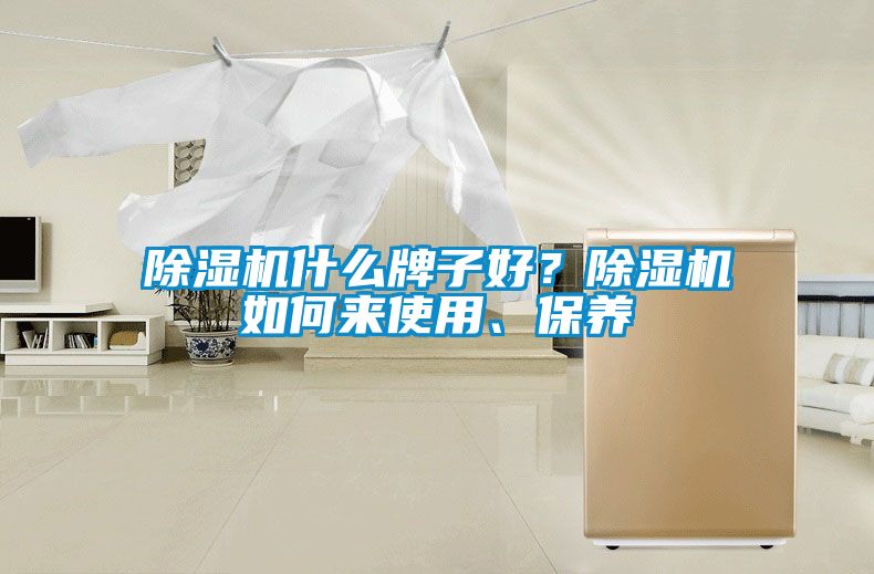 除濕機(jī)什么牌子好？除濕機(jī)如何來(lái)使用、保養(yǎng)