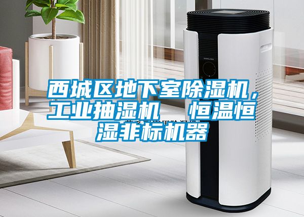 西城區(qū)地下室除濕機，工業(yè)抽濕機  恒溫恒濕非標機器