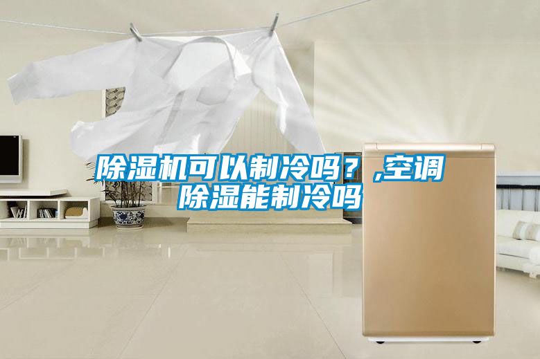 除濕機(jī)可以制冷嗎？,空調(diào)除濕能制冷嗎