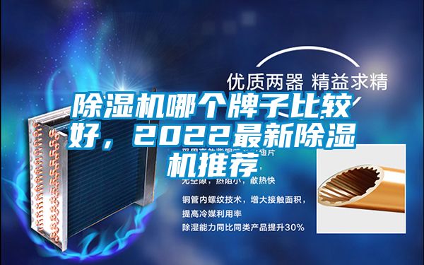 除濕機哪個牌子比較好，2022最新除濕機推薦
