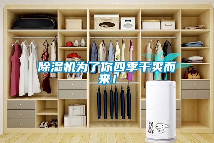 除濕機(jī)為了你四季干爽而來！
