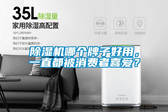 除濕機(jī)哪個(gè)牌子好用，一直都被消費(fèi)者喜愛(ài)？